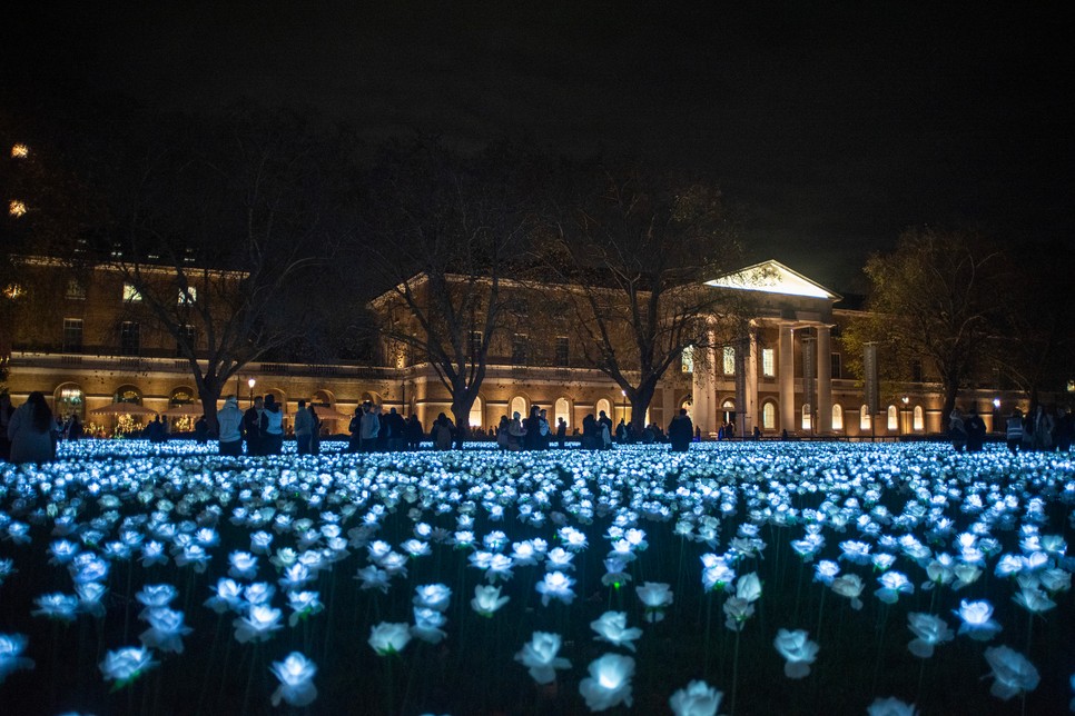 A lenyűgöző Ever After Garden, ahová Katalin hercegné is ellátogatott