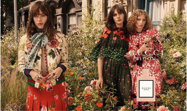 Dakota Johnson Gucci