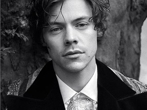 Nagyon féltékeny leszel erre a cuki malacra, ha meglátod Harry Styles új fotóit