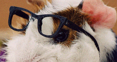 Ma ideális a nap a tanulásra - Egymondatos horoszkóp - október 14. péntek