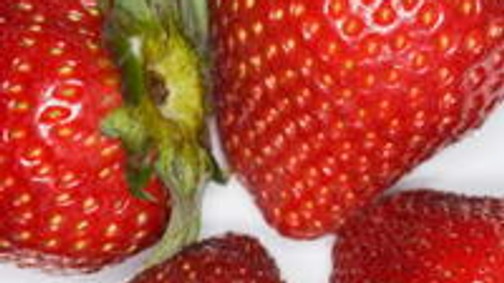 Először is: a szamóca!