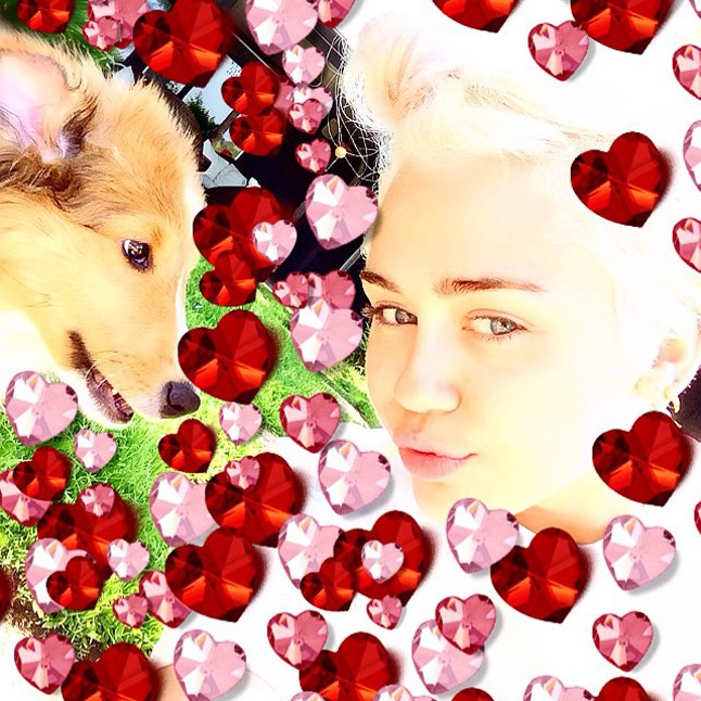 Emu nagyon gyorsan Miley szívébe lopta magát.