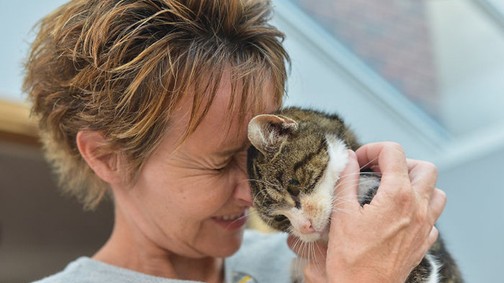 13 év után látta újra gazdáját ez a cica, a reakciójától pedig te is elsírod magad