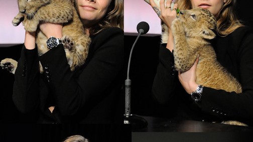 Nem lesz cukibb! Cara Delevingne és a bébi oroszlán