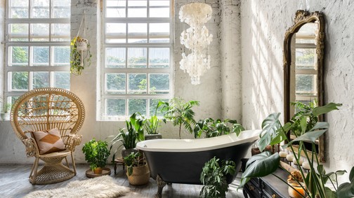 7 csodás növény, ami fantasztikusan érzi magát a fürdőszobában