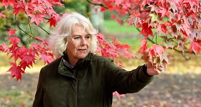 Szomorú hírek érkeztek a palotából Károly király feleségének állapotáról: le kellett mondani Kamilla királyné programjait