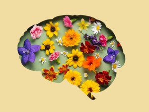 Miért lett akkora luxus a csend az idegrendszer számára?