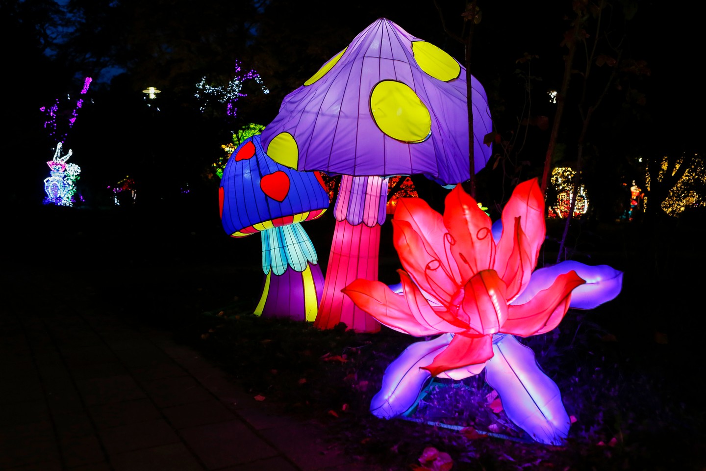 Miért fontos a felnőttkori játékosság?