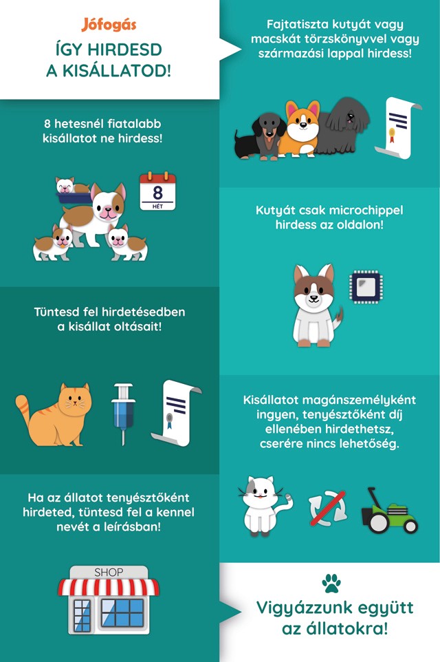 Az örökbefogadással állatok életét menthetjük meg, a szaporítók támogatásával állatok életét sodorjuk veszélybe