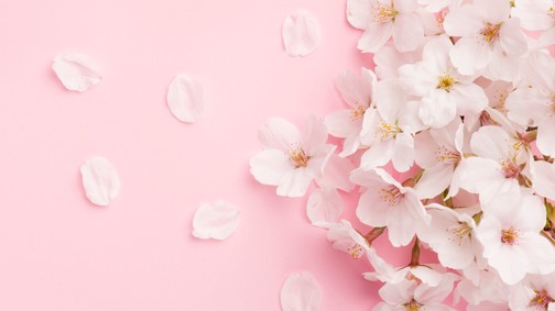 Miért érezzük romantikusabbnak magunkat tavasszal?