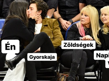 Zseniális mémet csinált egy színész Camila Cabello és Shawn Mendes csókolózós képéből