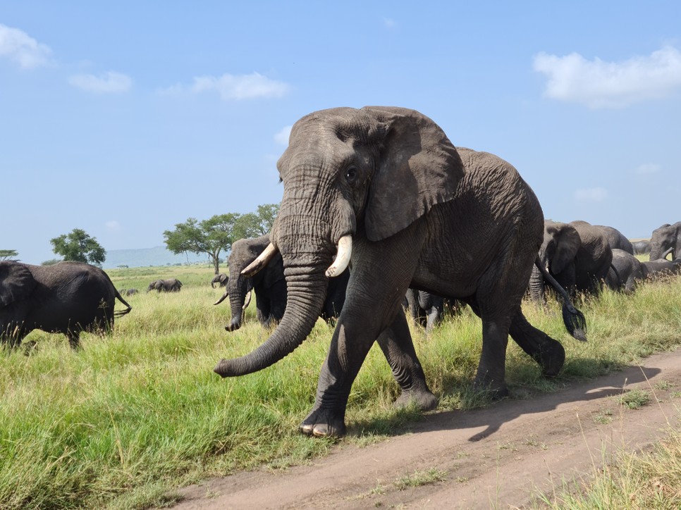 A világ tele van kalanddal, a kerekesszék nem akadály, és Thassy Orsolya bizonyítja, hogy a határok csak fejben léteznek