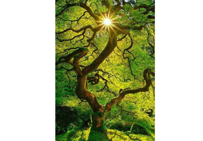 Hol találsz azonnali biztonságot?