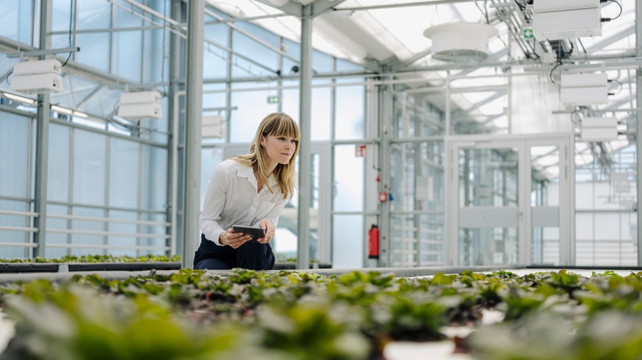Le van maradva az innovációval a hazai mezőgazdaság, miközben a kibocsátásai nőnek