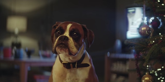 john lewis, buster the boxer, karácsony, karácsonyi reklám, ünnep