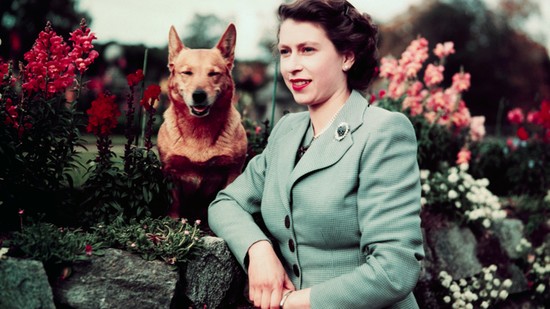 Ha megtudod, mi volt Erzsébet királynő civil munkája, egészen másképp emlékezel már rá