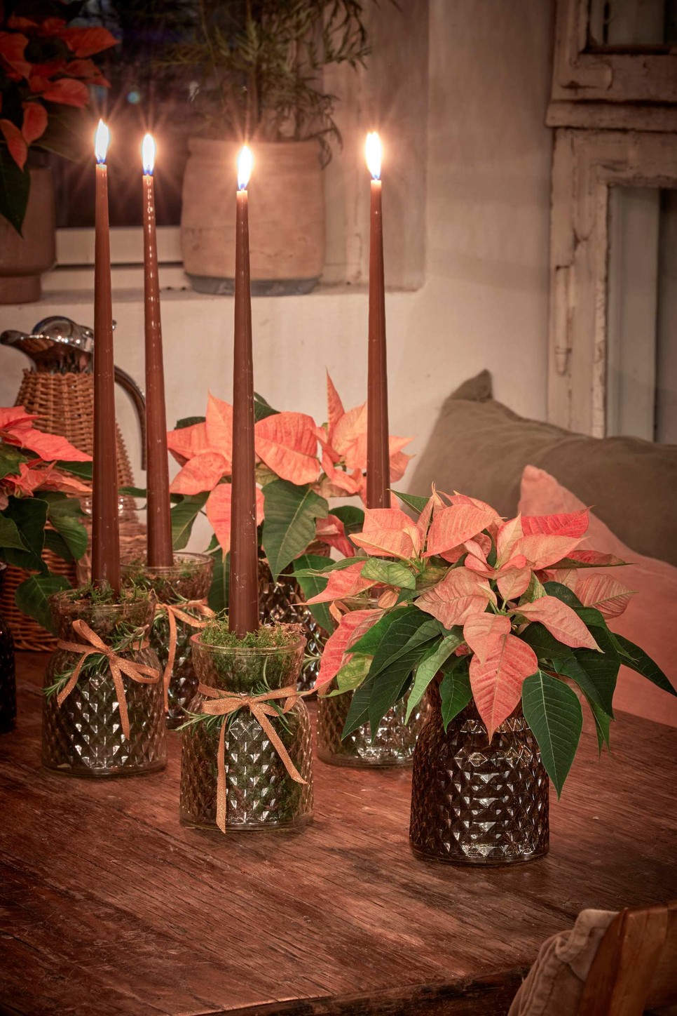 Mikulásvirág befőttesüvegben