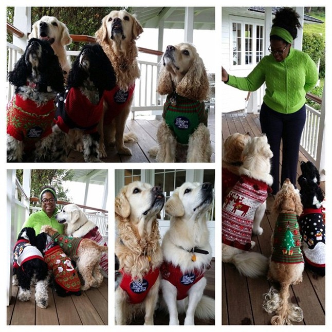 Oprah Winfrey az igazi kutyabolond. Elmondása szerint semmi se teszi boldogabbá, mint az, amikor a kedvenceivel lehet. Élete során 21 kutyája volt már. Most is 11 kedvencével osztozik otthonán. Oprah szerint az igazi szeretet a kutyák szeretete. Úgy gondolja, hogy a legtöbb dolgot az életben kutyájától, Sophie-tól tanulta, aki minden nap elkísérte a munkahelyére és az egész napot együtt töltötték. Sajnos Sophie 13 éves korában elhunyt. 