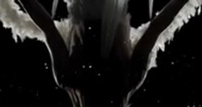 Újabb magyar siker: Tombor Zoltán és Vigh Dávid divatvideója a legjobbak között