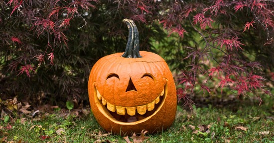 Az ősz gyarmatosítása: hogyan hódította meg a világot a pumpkin spice?