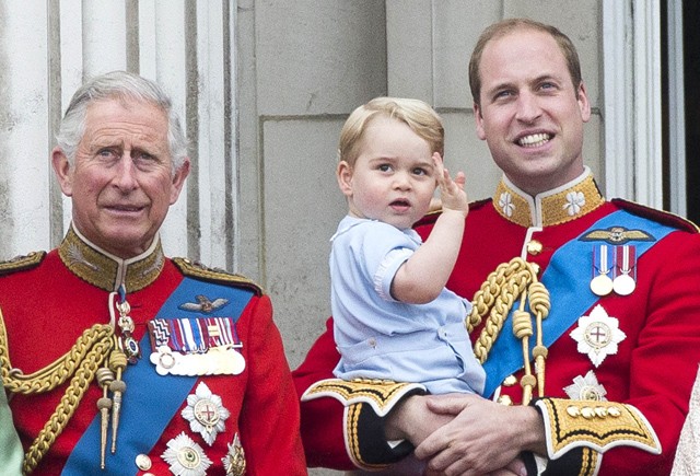 Károly herceg, Vilmos herceg és a kis György