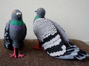 Ilyet még biztosan nem láttál! Itt a galamcipő