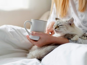 Egyetlen teáskanálnyi adag ebből varázslatossá teszi a kávédat: most rögtön érdemes kipróbálni