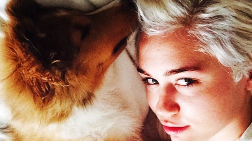 Bemutatjuk Miley Cyrus elképesztően aranyos kiskutyáját