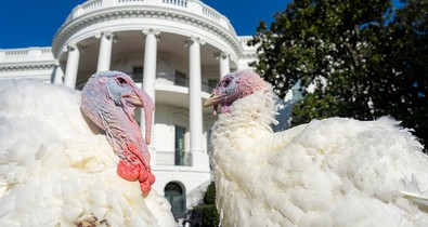 Hálaadás nélkül is érdemes hálásnak lenni - A hála szerepe a mentális egészség és boldogság megőrzésében