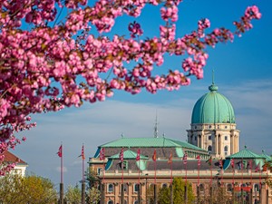 Programajánló a Budai Vár körül: rejtett kis ékszerdoboz a város szívében