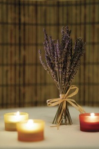 aromatherapy-200x-d0000F50B3c76665bf421.jpg