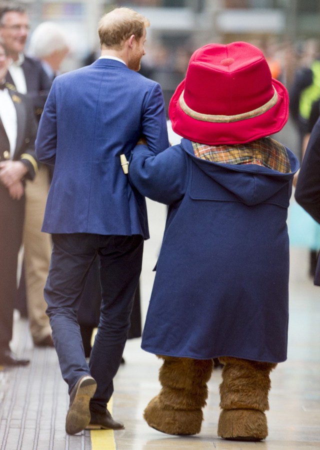 Harry herceg összekarol Paddington macival