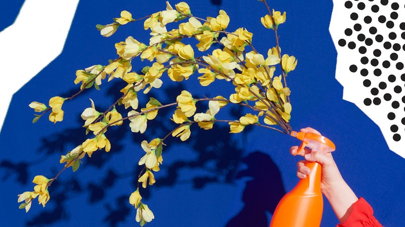  Zöld háztartás: környezetbarát és olcsó tisztítószerek otthonra