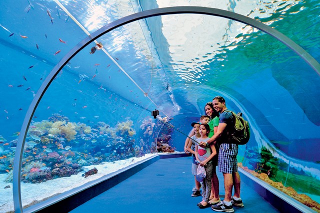 Egész évben napsütés - Izraelbe egyszer el kell menned