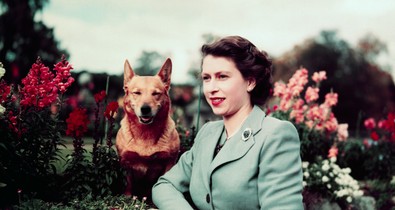 Ha megtudod, mi volt Erzsébet királynő civil munkája, egészen másképp emlékezel majd rá