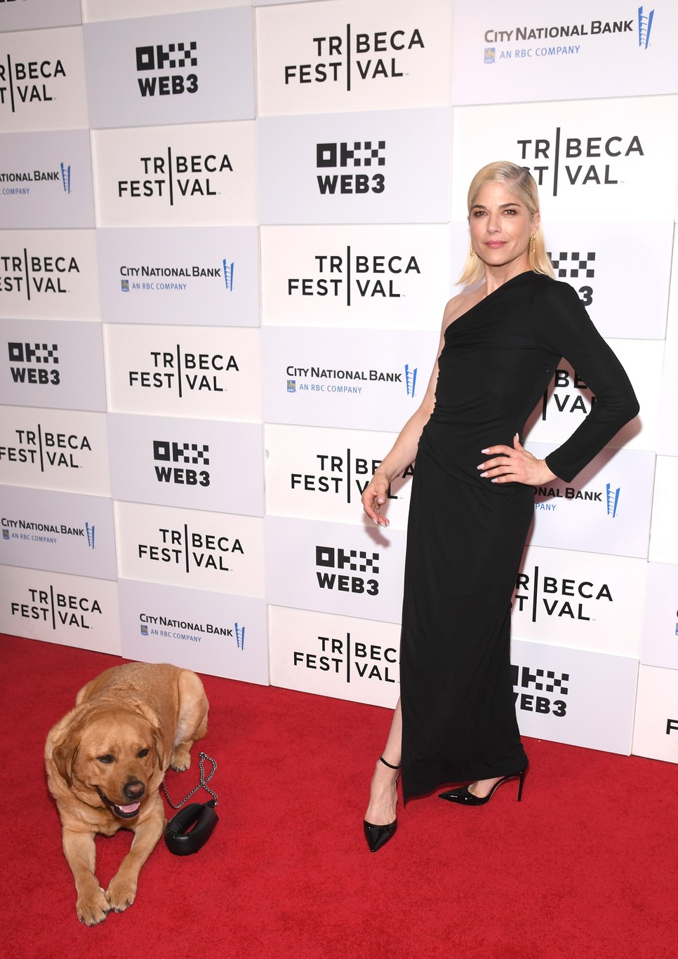 Segítőkutyája, Scout kísérte el Selma Blairt a legutóbbi filmpremieres megjelenésére