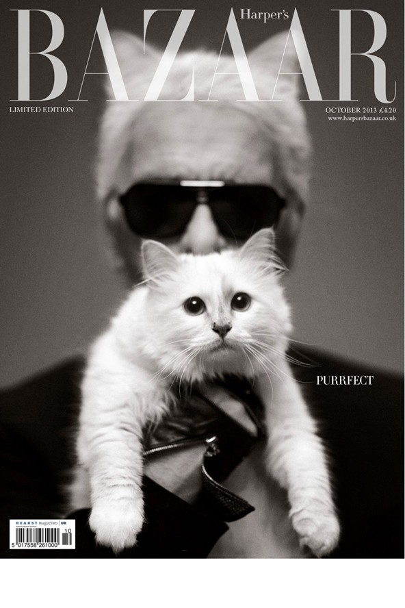 Karl Lagerfeld, Choupette