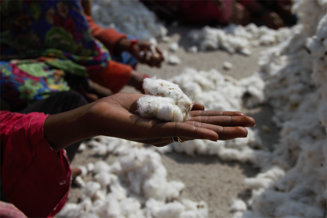 Idén karácsonykor te is így csomagolsz majd! Cseréld le a papírt és a műanyagot!