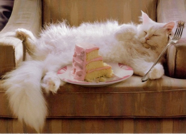 Édességet csak okosan