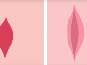 Kiakadtak a kommentelők ettől a vaginás videótól, a márka reakciója pedig zseniális volt