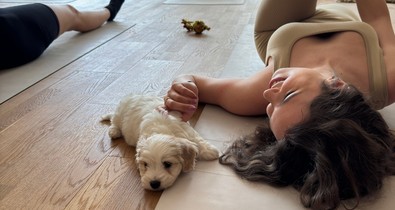 Nekünk jó, de a kutyáknak is? Utánajártunk, mi történik a kisállatokkal a Puppy Yoga közben és után