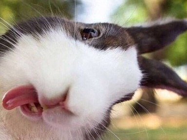 Miért emlékszik a másik rosszul?