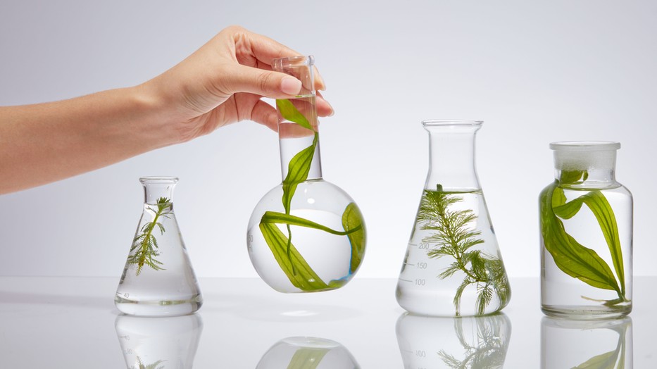 A LIGNOFUN projekt nemcsak a tudományos eredményeket, de a Helia-D több évtizedes tapasztalatát is új szintre emeli