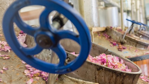 Elképesztő, hogy hogyan kerülnek bele a természetes összetevők szépségápolási termékeidbe