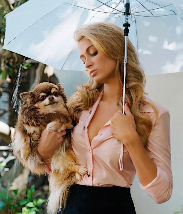 Paris Hilton kutyája jobban él, mint te vagy én! Durva!