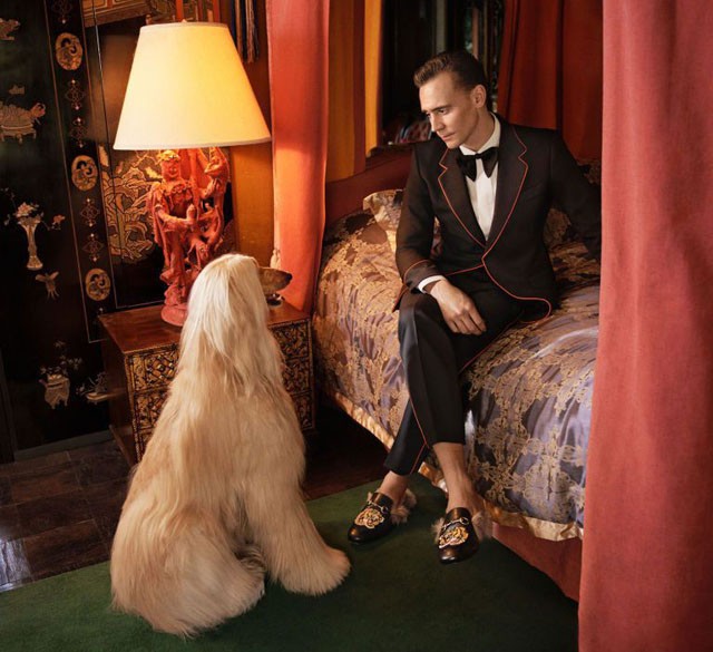 Tom Hiddleston Gucci