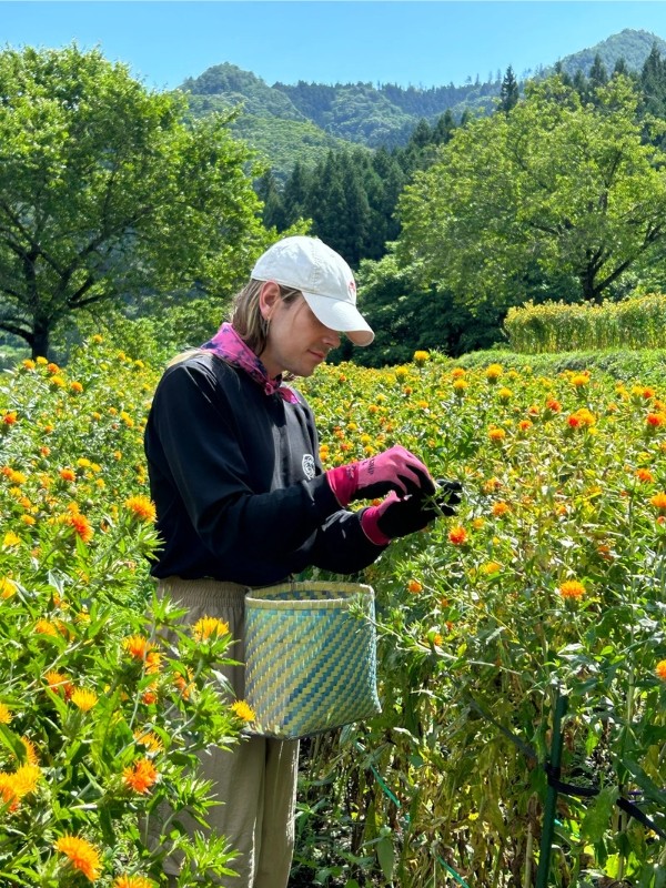 A német Vogue szépségszerkesztője egyenesen Japánba utazott, hogy jobban megismerje a sáfrányos szeklice tulajdonságait