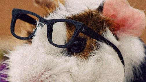 Ma ideális a nap a tanulásra - Egymondatos horoszkóp - október 14. péntek