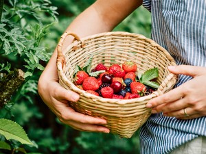 4 étel, ami gyakorlatilag megállítja a test öregedését: évekkel kitolhatod az élettartamodat, ha naponta eszel belőlük