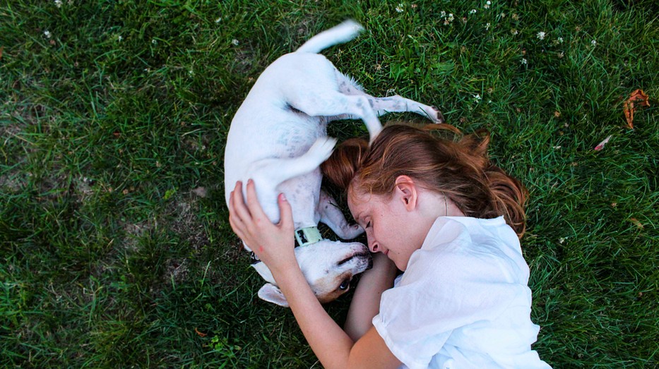 Jobb egészség, több szerető gazdi: menhelyi kutyák örökbefogadását segíti az új agility pálya
